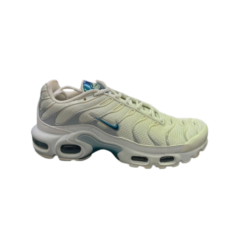 Used Nike TN White Blue 45783