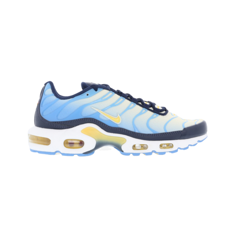 Nike air max sales plus womens university blue
