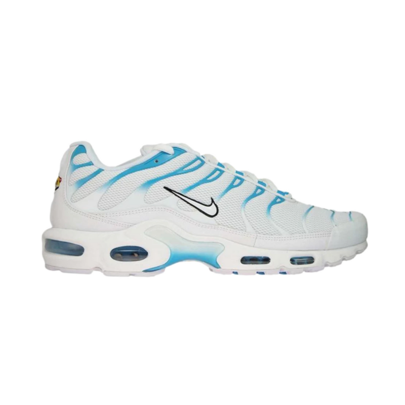 Nike tn best sale blue fury