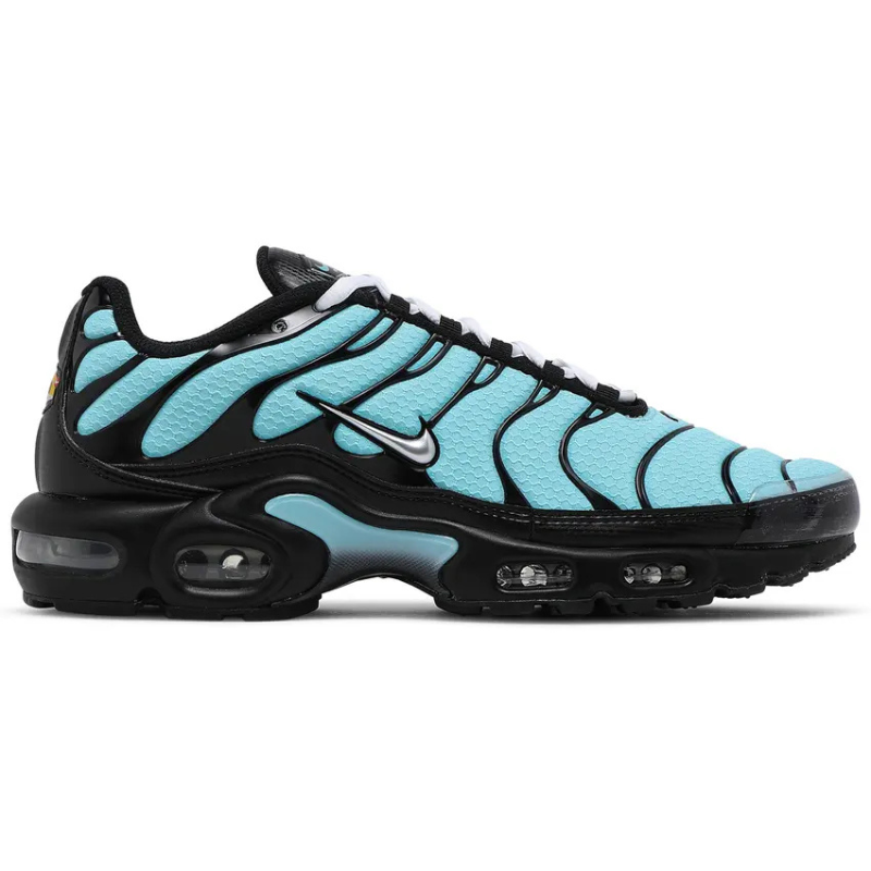 Nike Air Max Plus 'Aqua Silver'