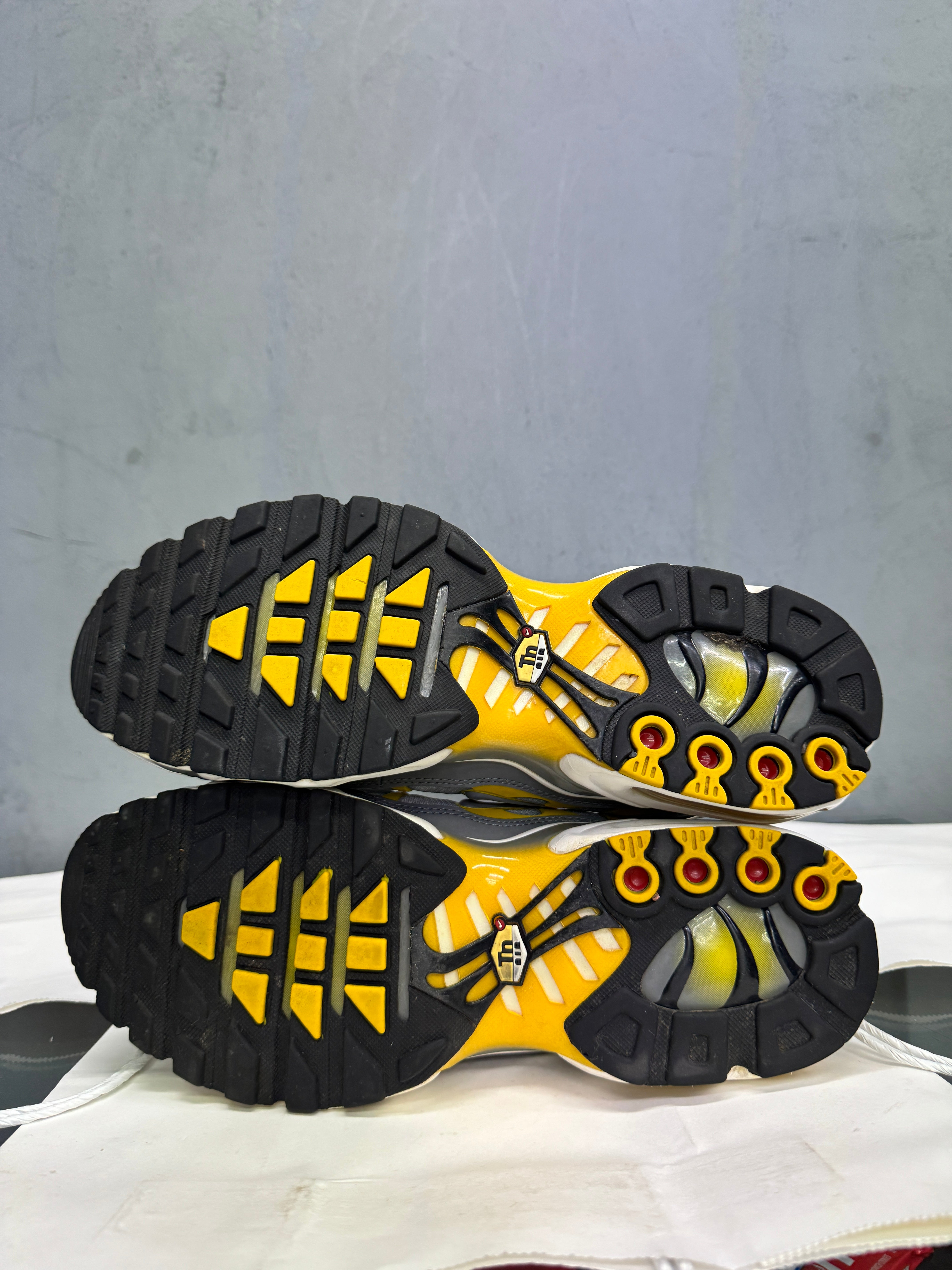 Used Nike Air Max Plus TN 'Grey Sulphurs'