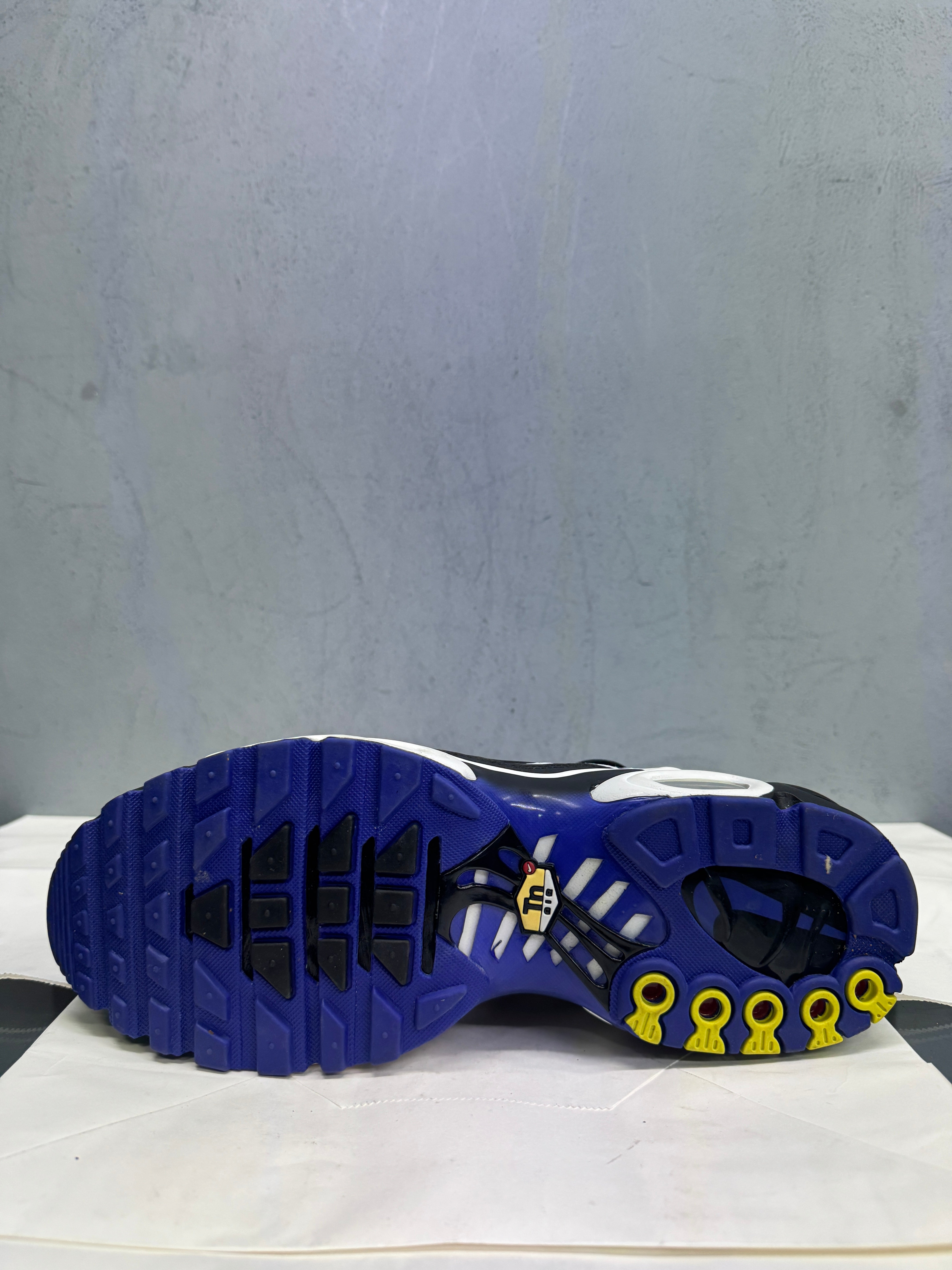 Used Nike Air Max Plus TN 'Persian Violet'