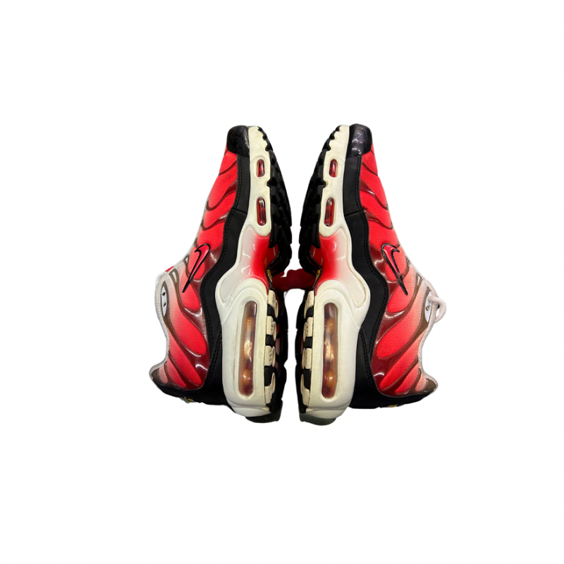 Used Nike Air Max Plus TN 'Fire'