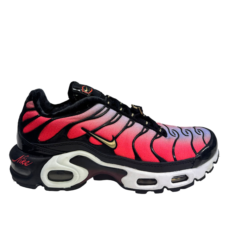 Used Nike Air Max Plus TN 'Sisterhood'