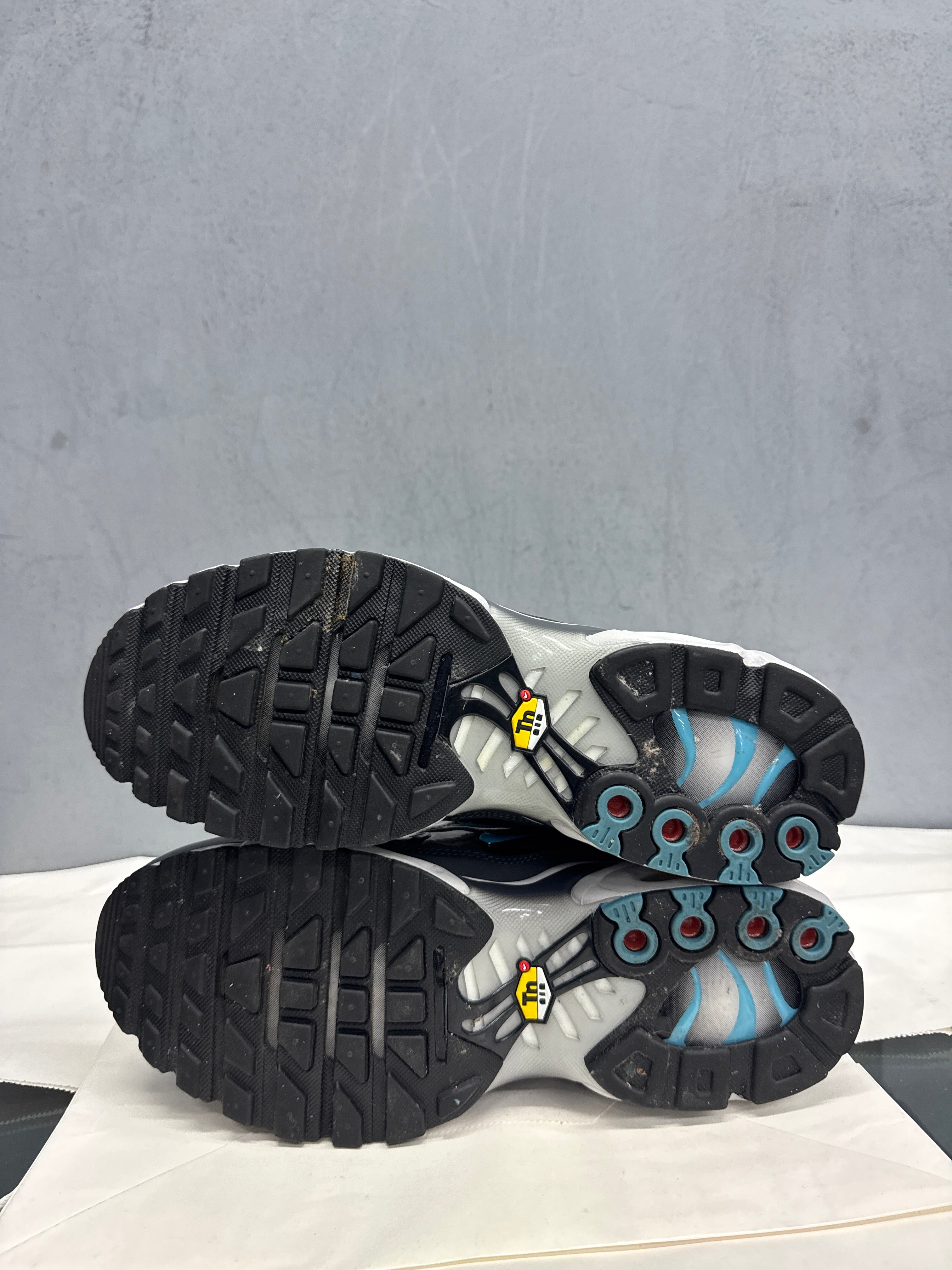 Used Nike Air Max Plus TN 'Gasolines'
