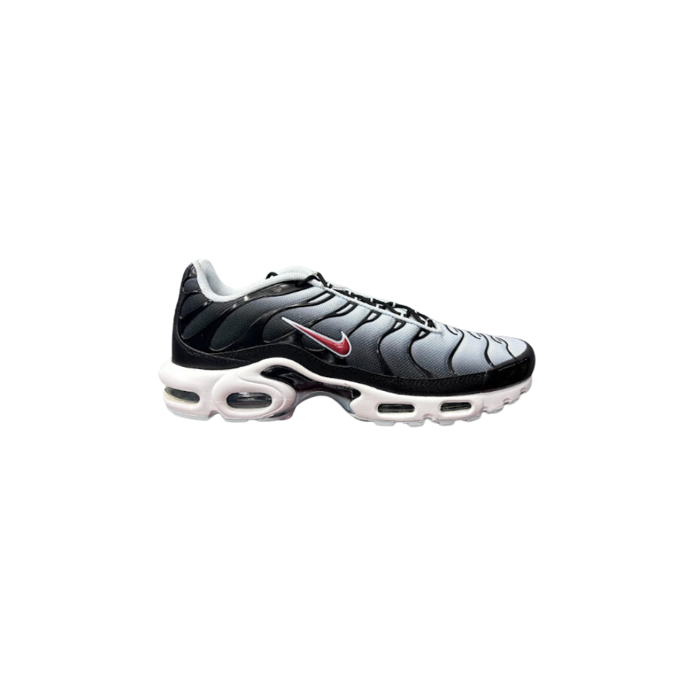Nike Air Max Plus TN 'Black Blue Tint'