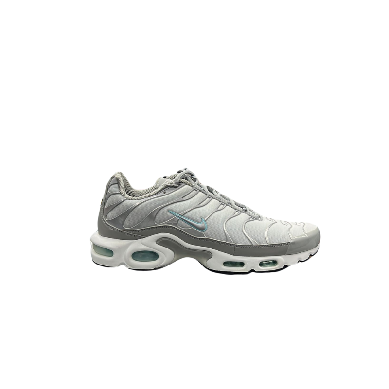 Used Nike Air Max Plus TN 'Light Smoke Grey Glacier Ice'