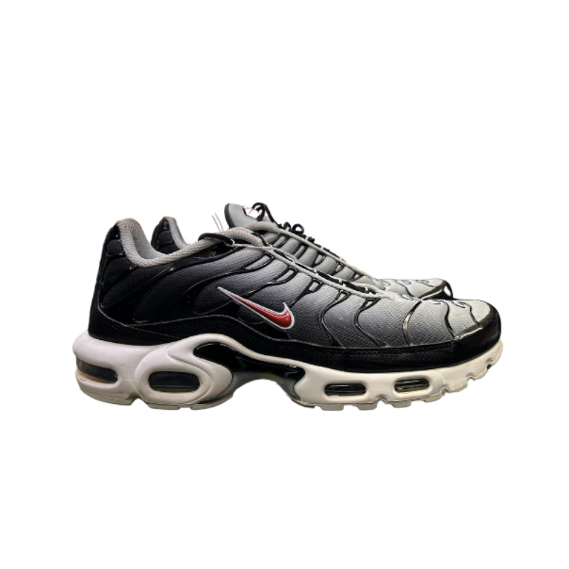 Used Nike Air Max Plus TN 'Swoosh Pack Blue Tint'