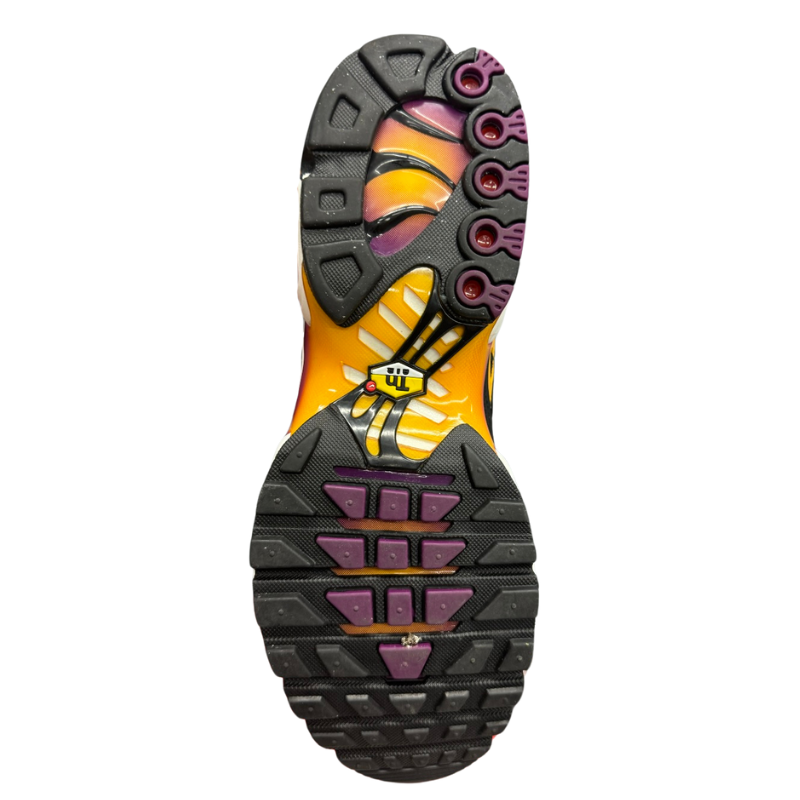 Used Nike Air Max Plus TN 'Black/University Gold'