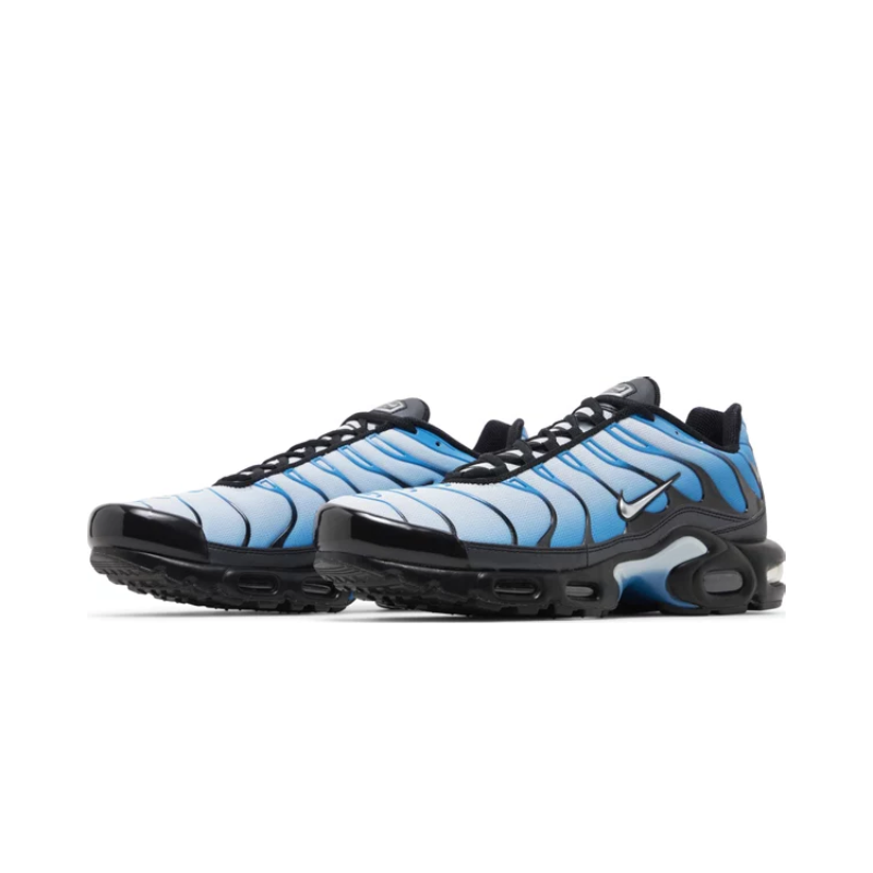 Nike Air Max Plus TN 'Neptune'