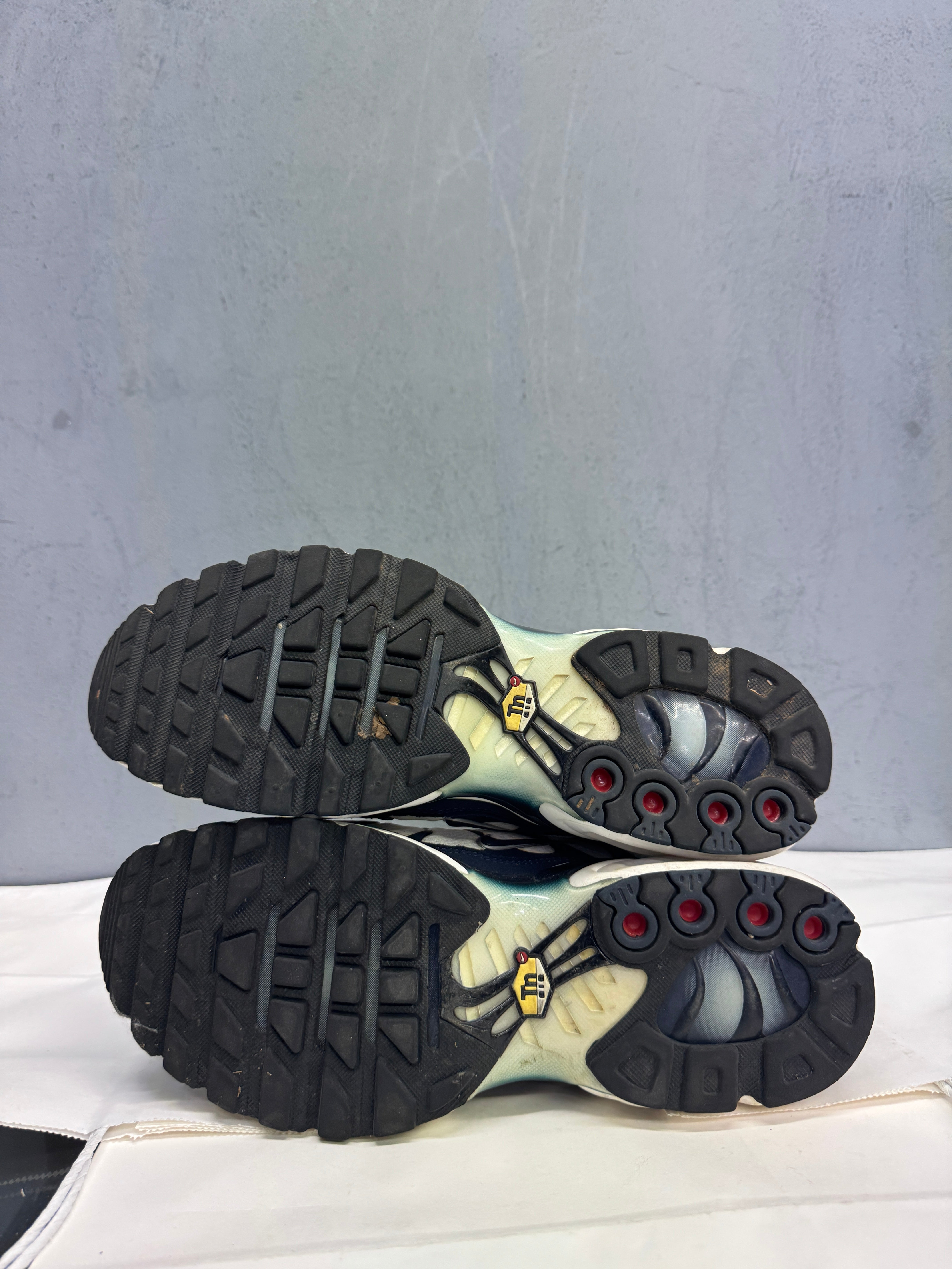 Used Nike Air Max Plus TN 'Tottenham'