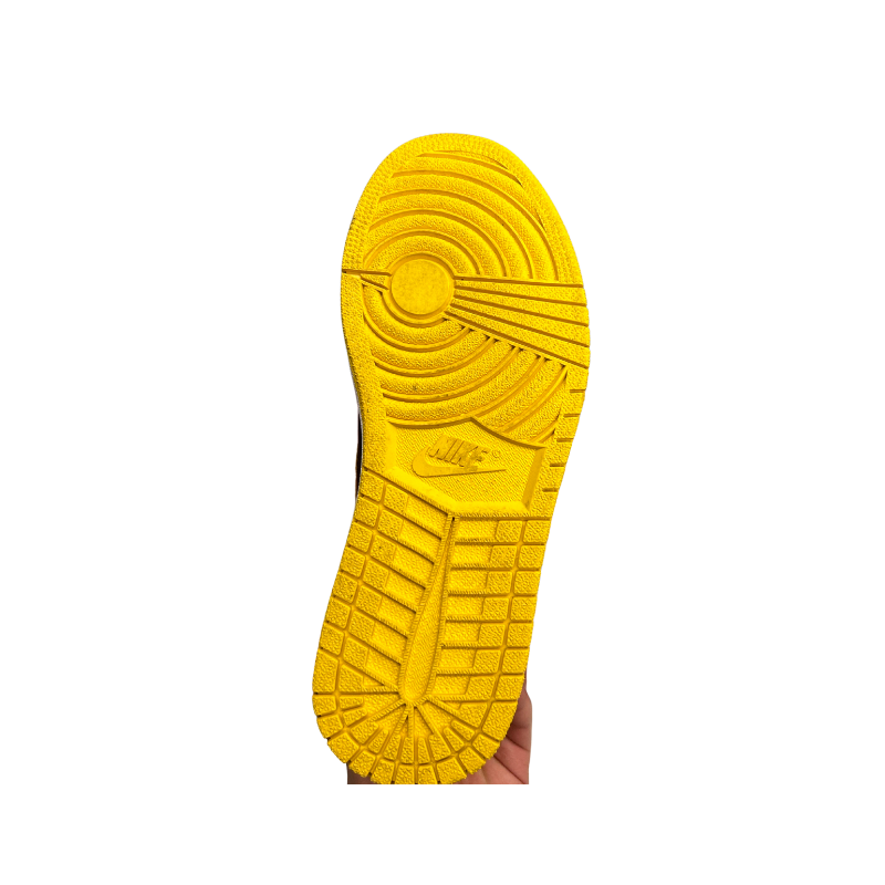 Used Jordan 1 Retro High Pollen