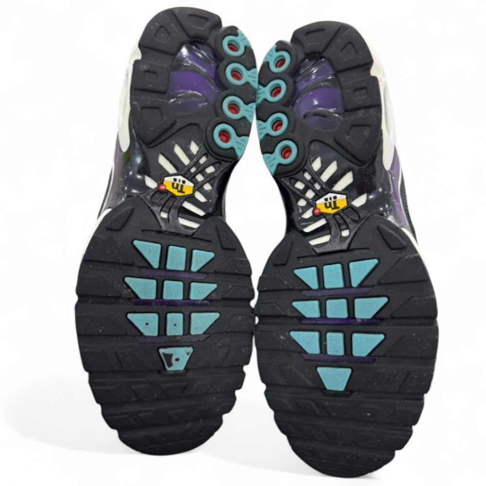 Used Nike Air Max Plus TN 'Purple Disco'