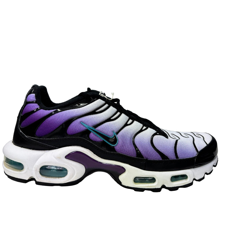 Used Nike Air Max Plus TN 'Reverse Grape'
