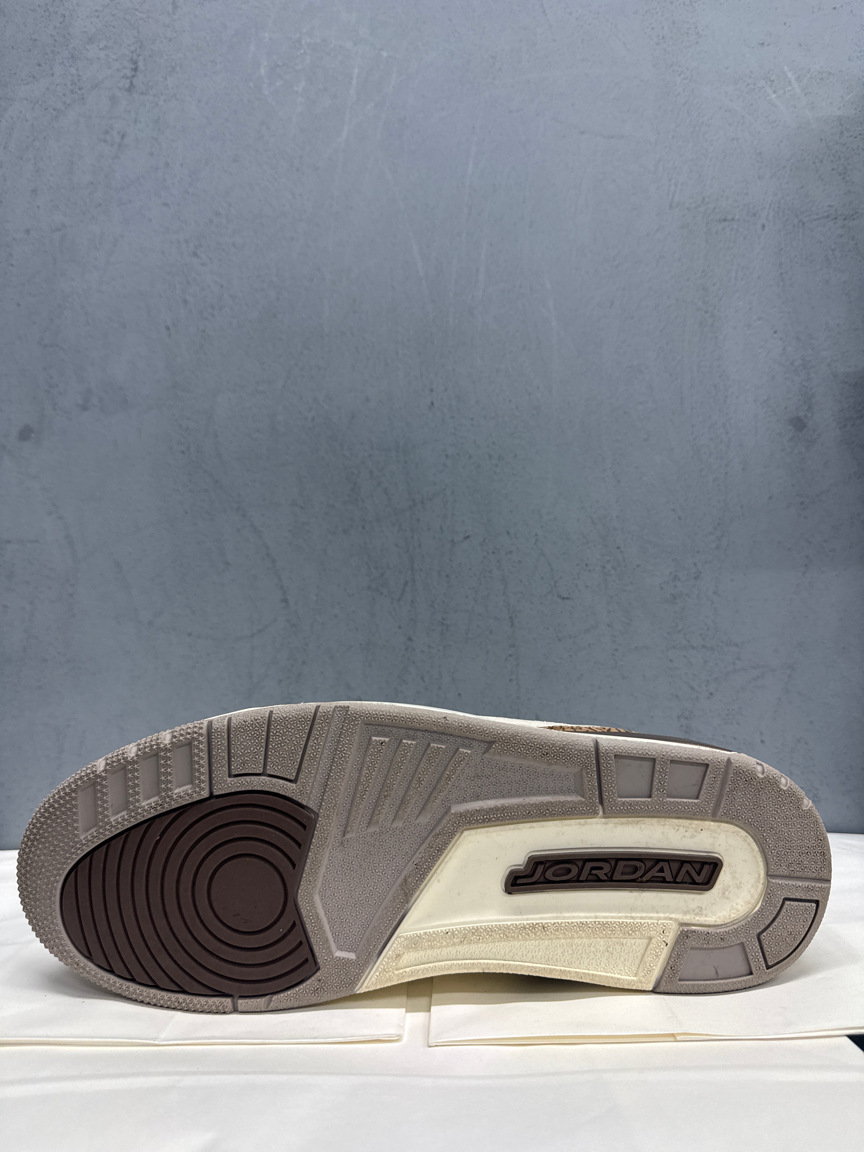 Used Jordan 3 Retro Desert Elephant