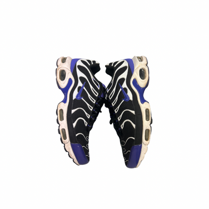 Used TN Persian Tributes 11