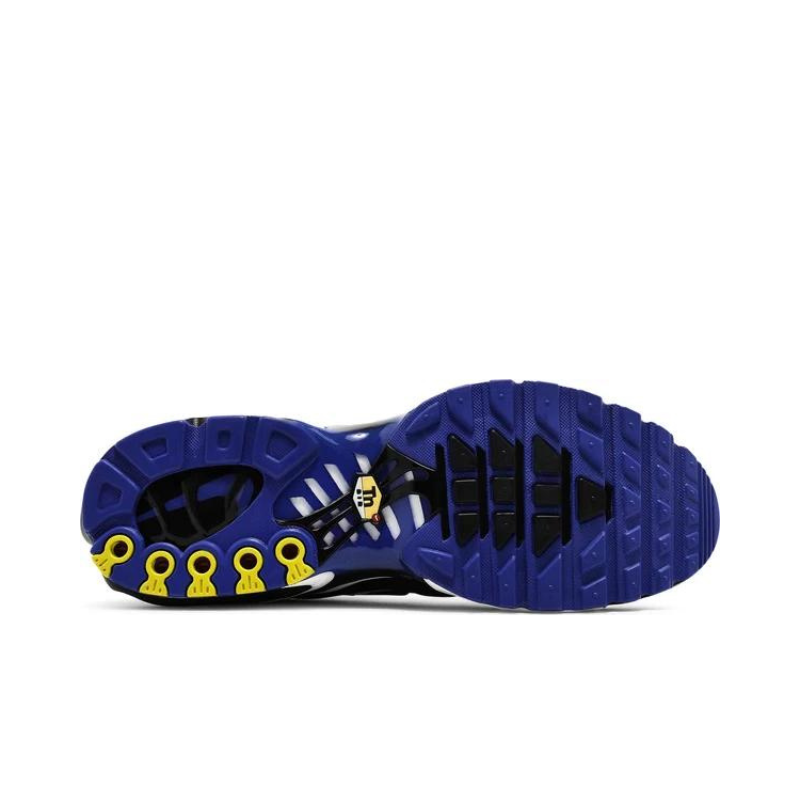 Nike Air Max Plus TN 'Persian Violet'