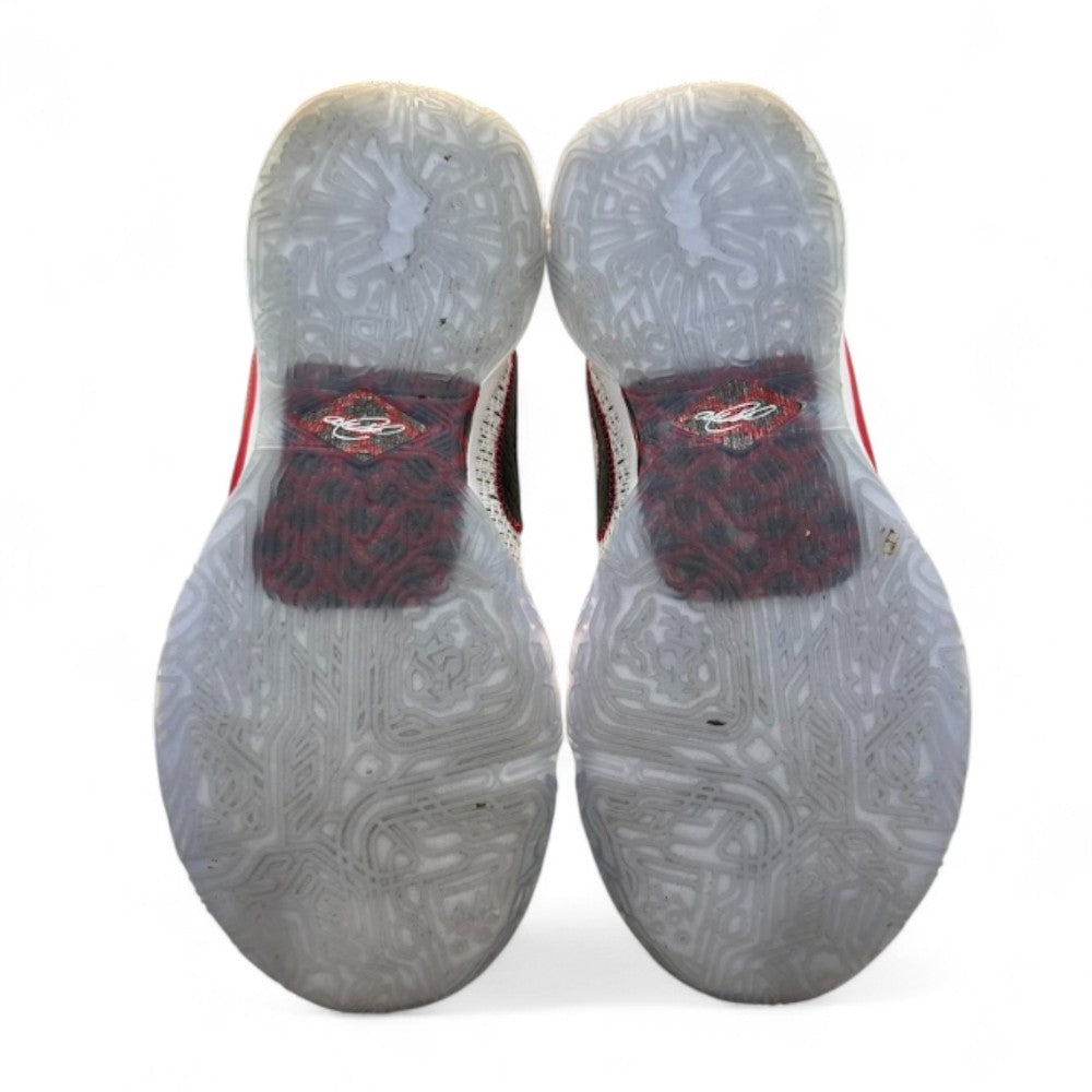 Used Lebron 20 The Debut