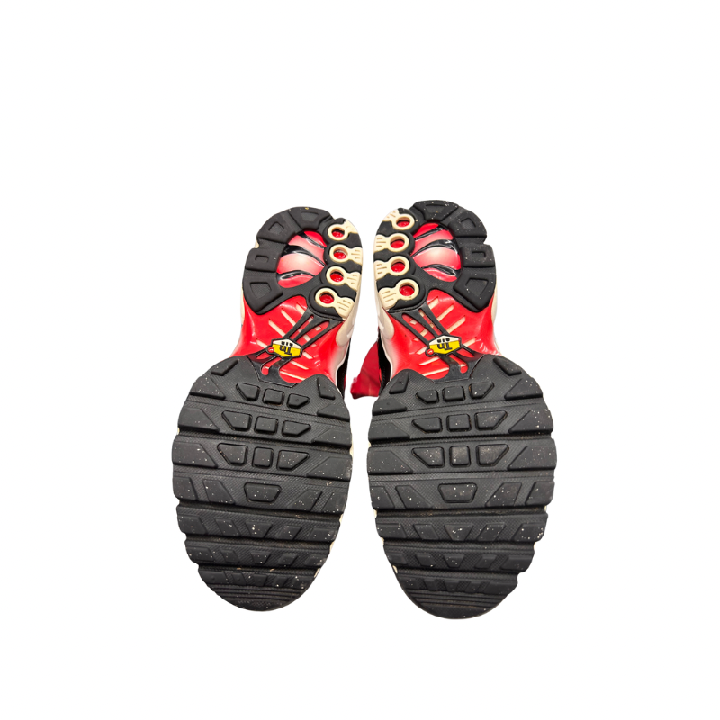 Used Nike Air Max Plus TN 'Fire'