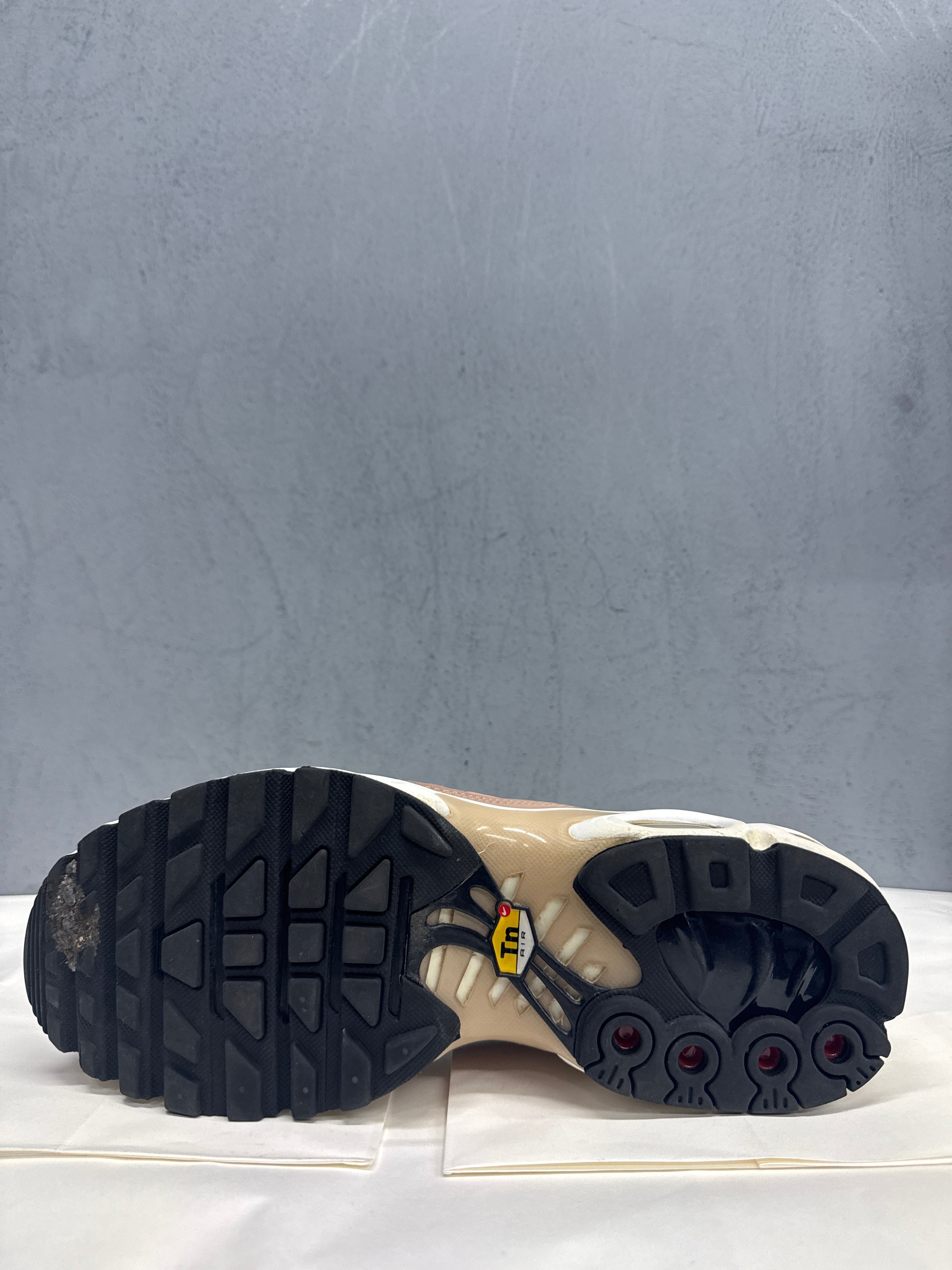 Used Nike Air Max Plus TN 'United in Victory'