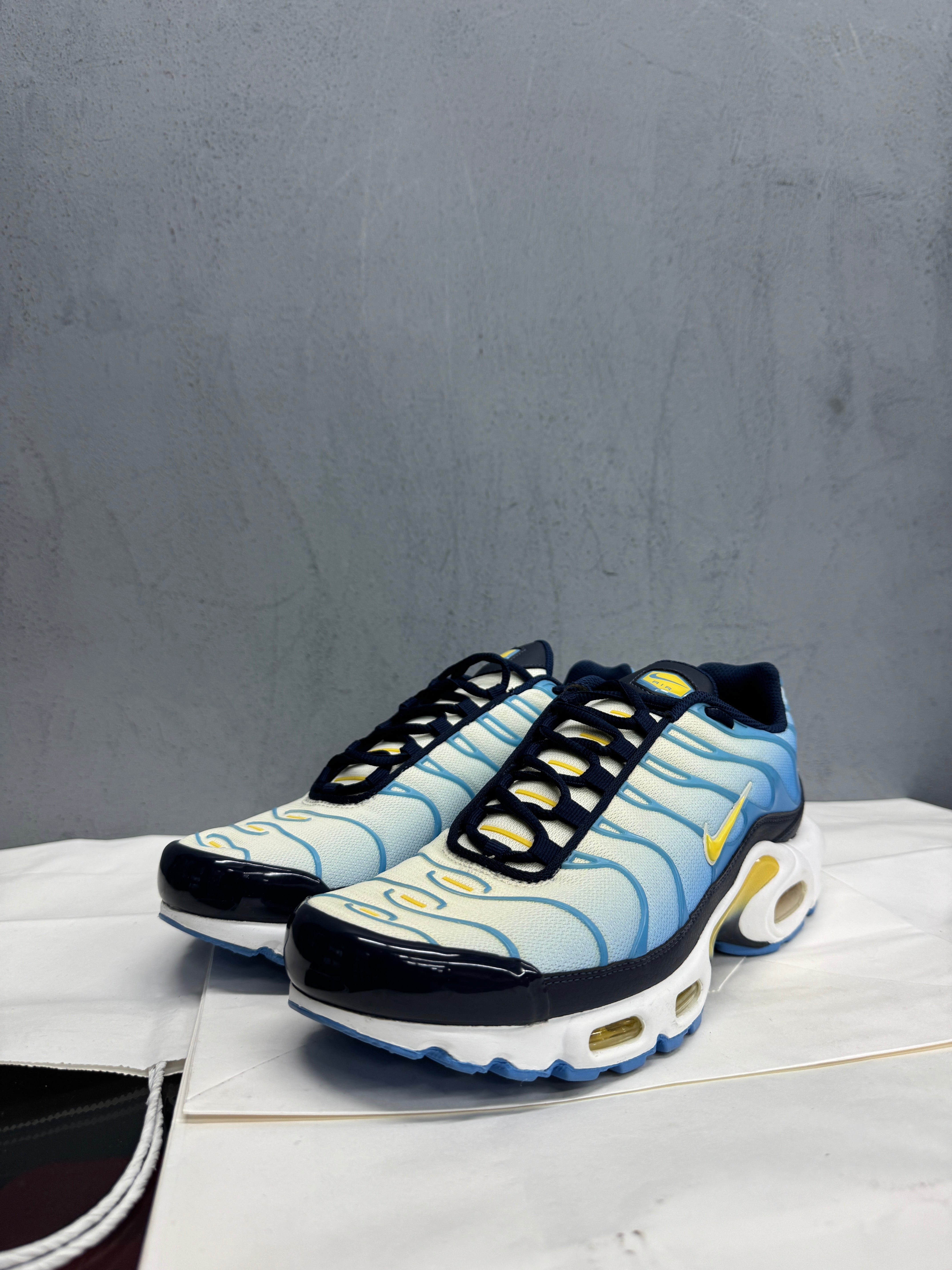 Used Nike Air Max Plus TN 'University Blue Topaz Gold'