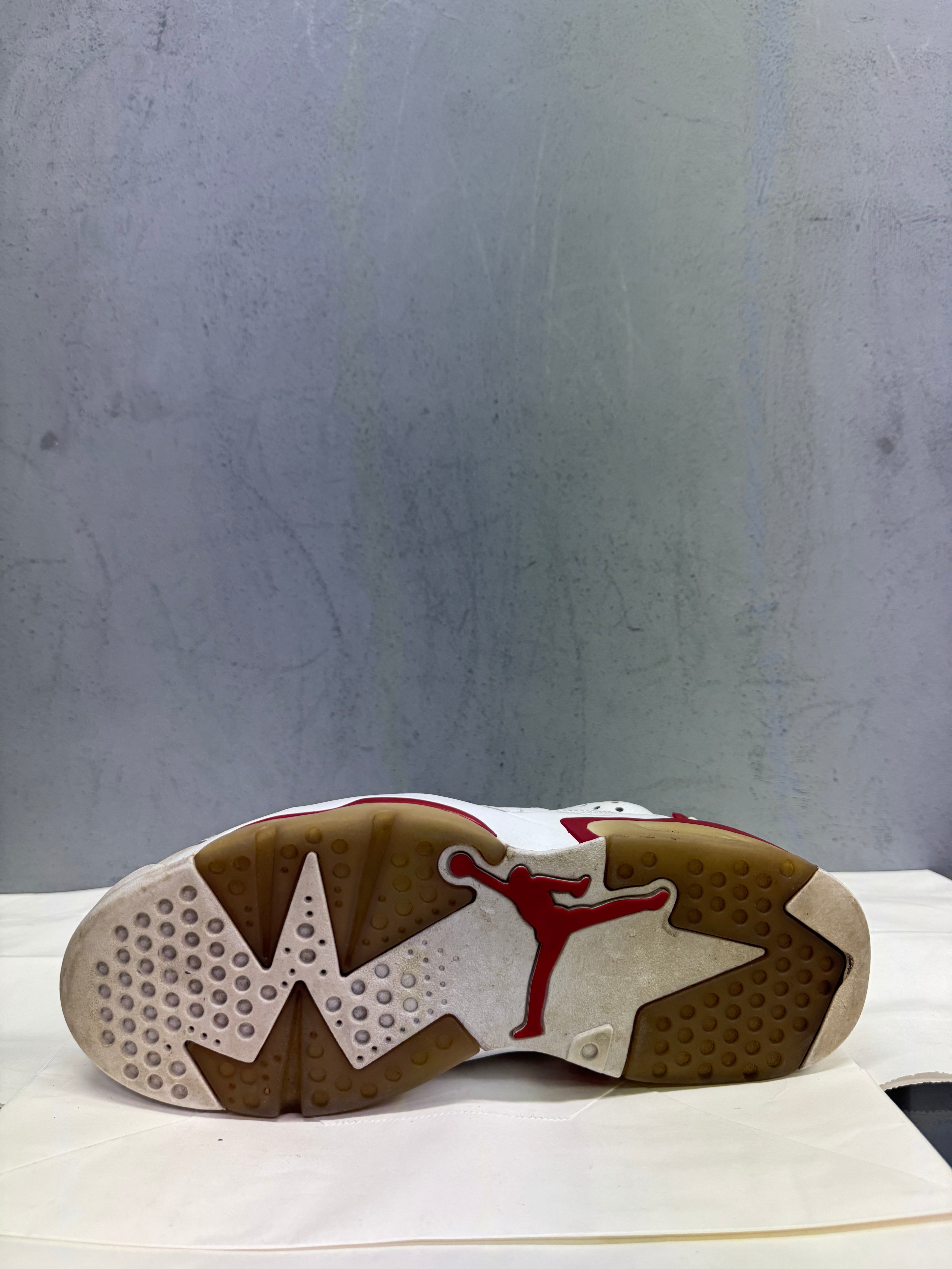 Used Jordan 6 Retro Alternate Hare