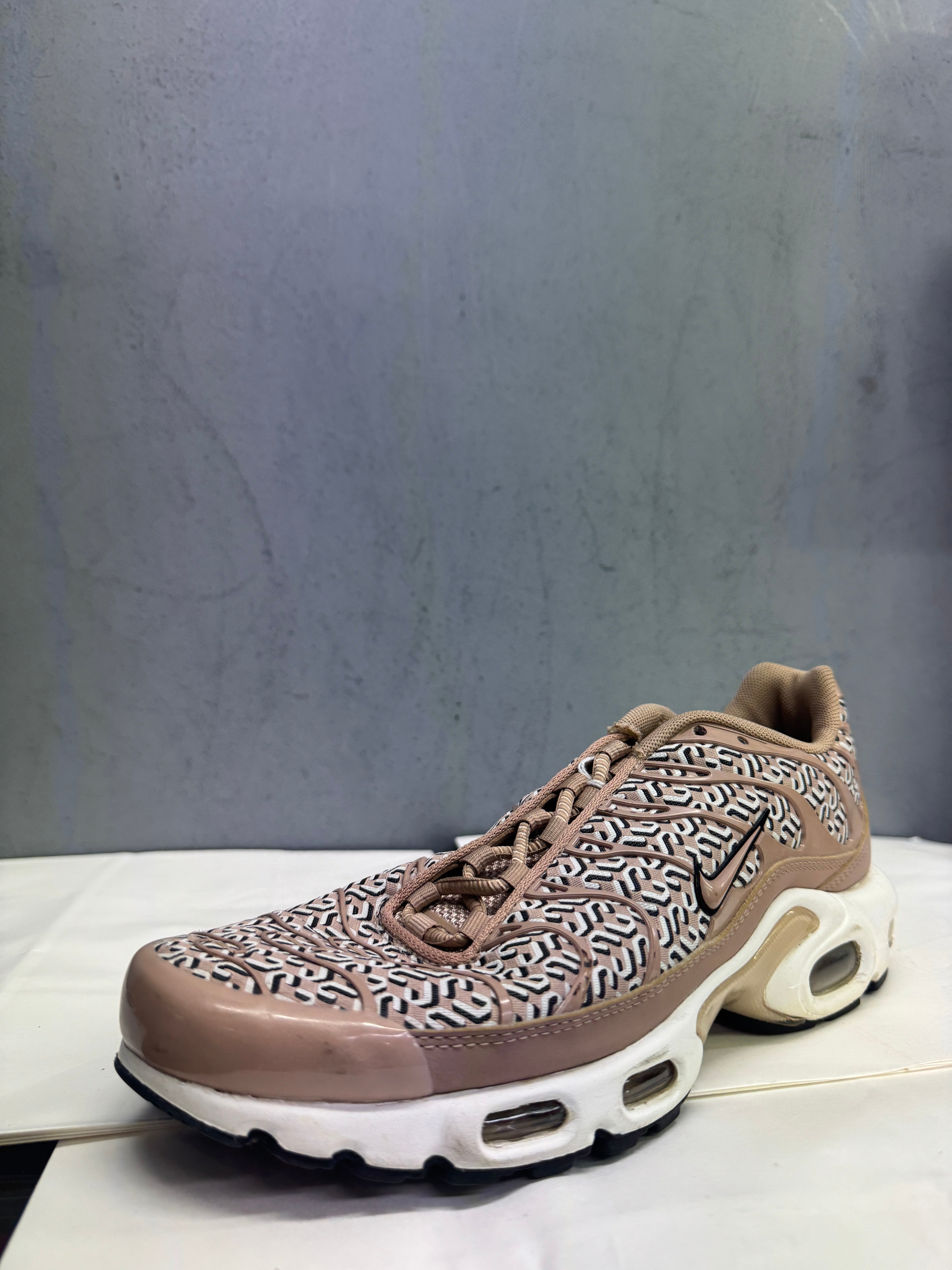 Used Nike Air Max Plus TN 'United in Victory'