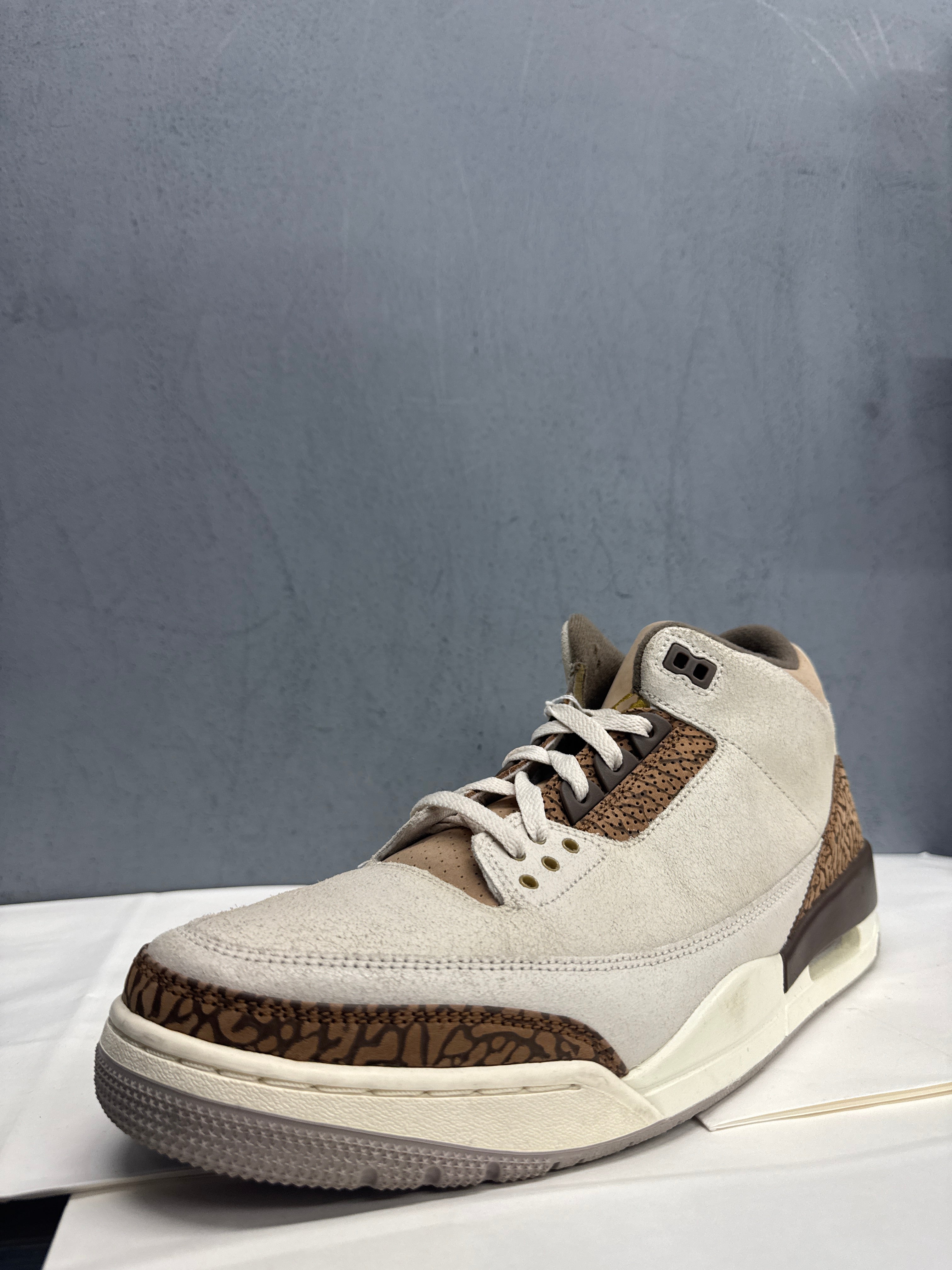 Used Jordan 3 Retro Desert Elephant