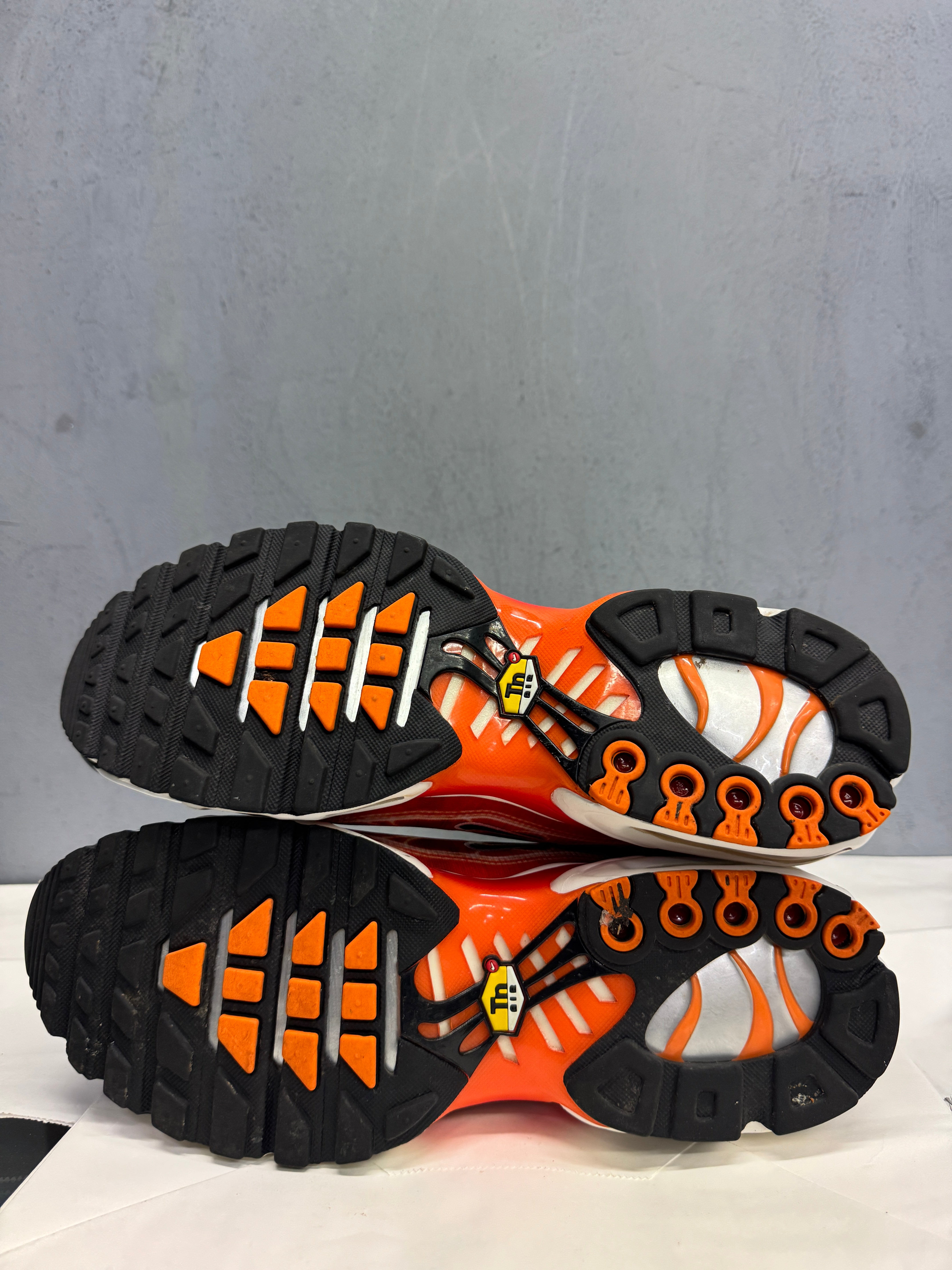 Used Nike Air Max Plus TN 'OG Light Photography'
