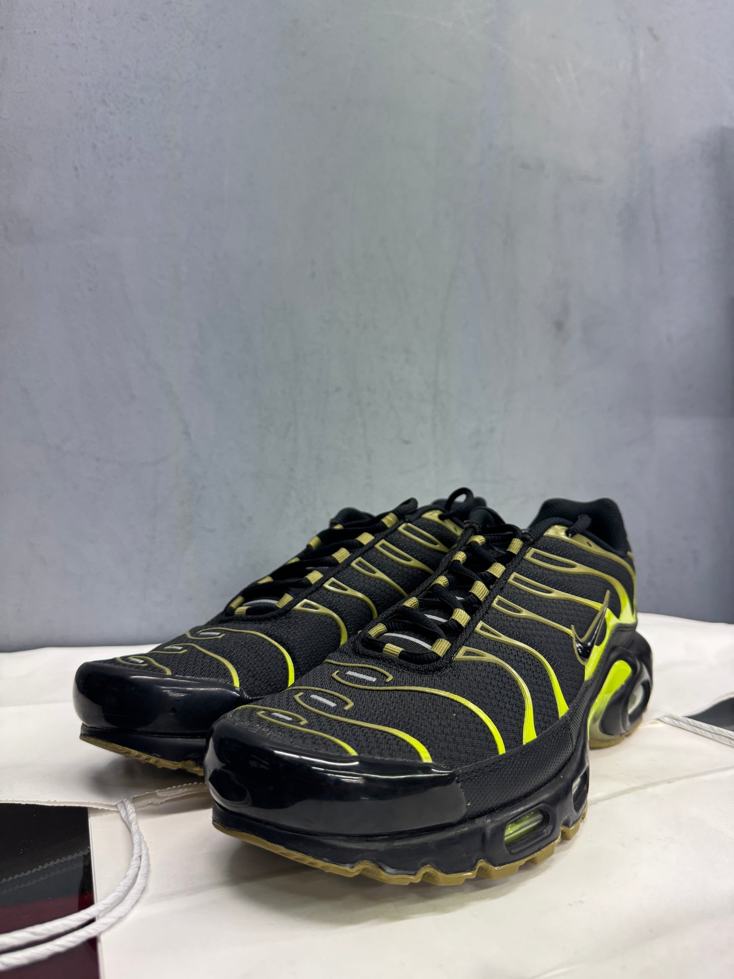 Used TN Pacific Moss Multiple Sizes