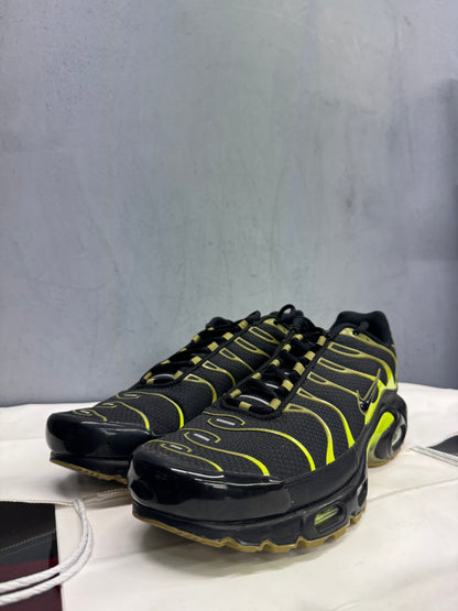 Used TN Pacific Moss Multiple Sizes