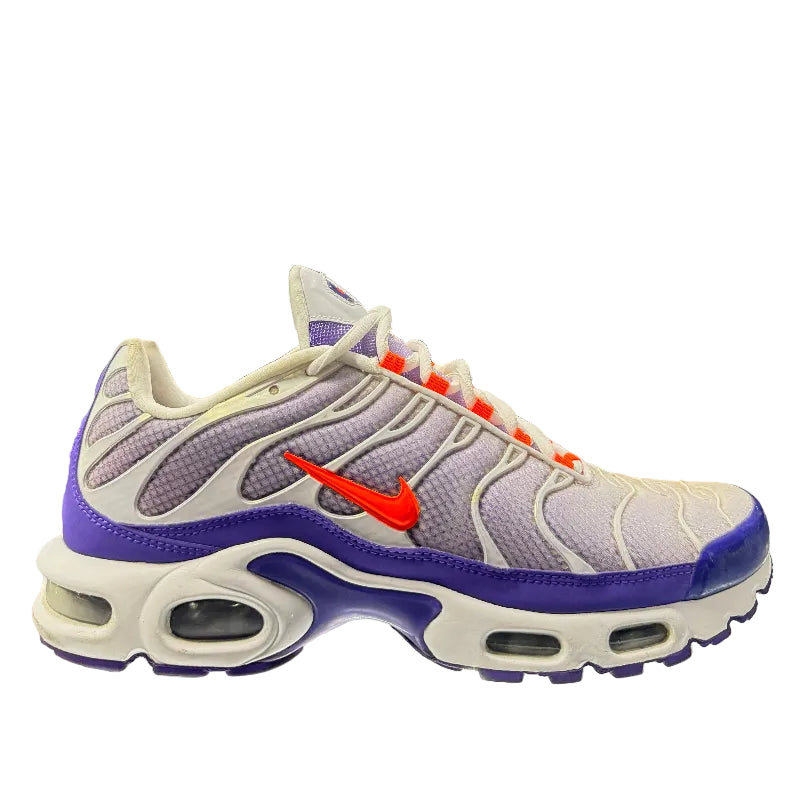 Used Nike Air Max Plus TN Colour Flip