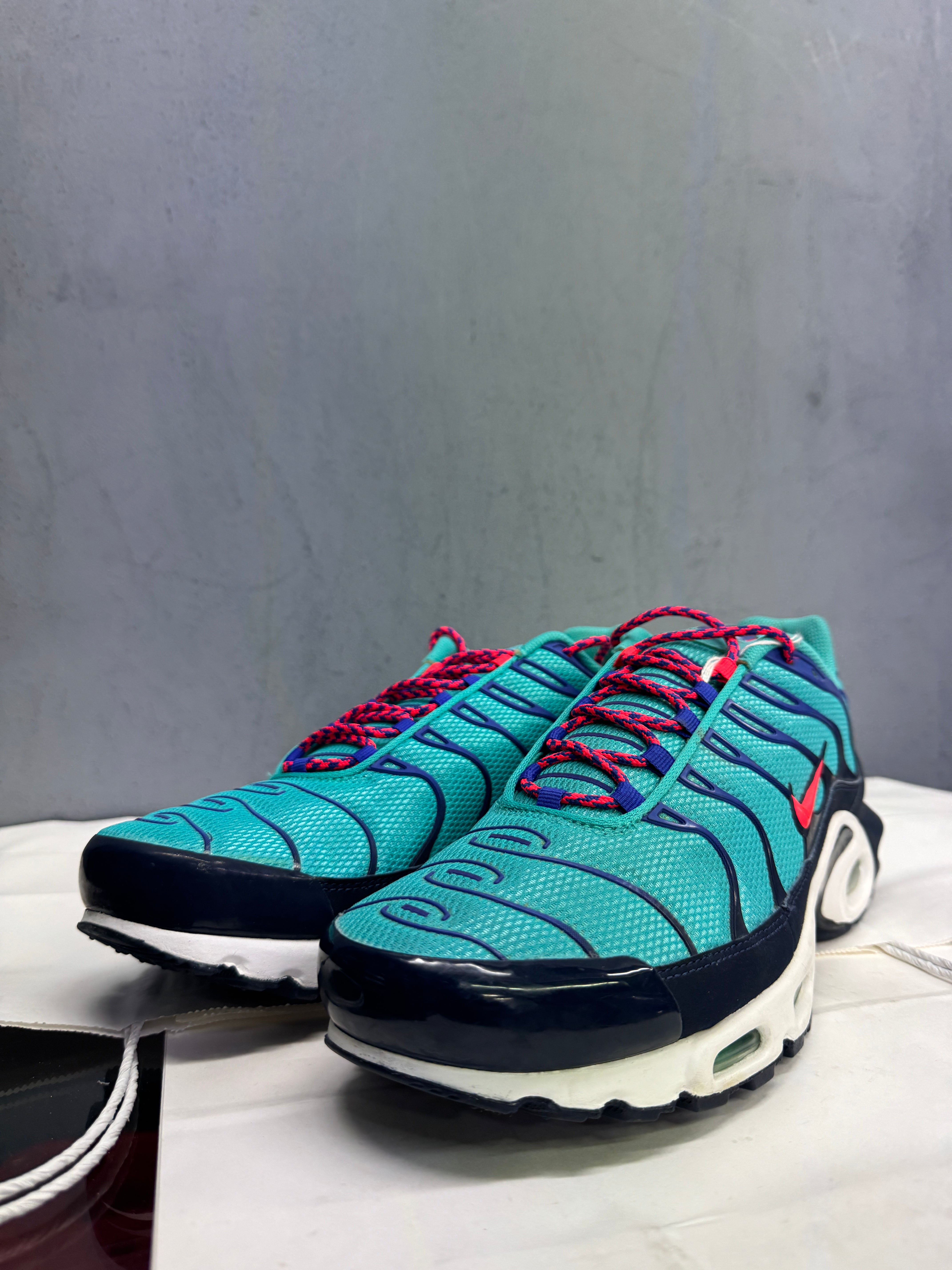 Used Nike Air Max Plus TN 'Discover Your Air'