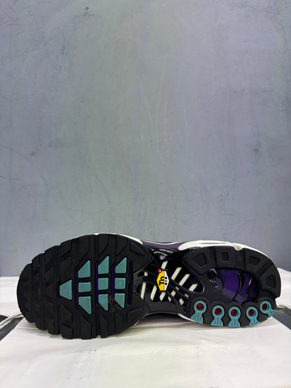 Used TN Reverse Grape Multiple Sizes