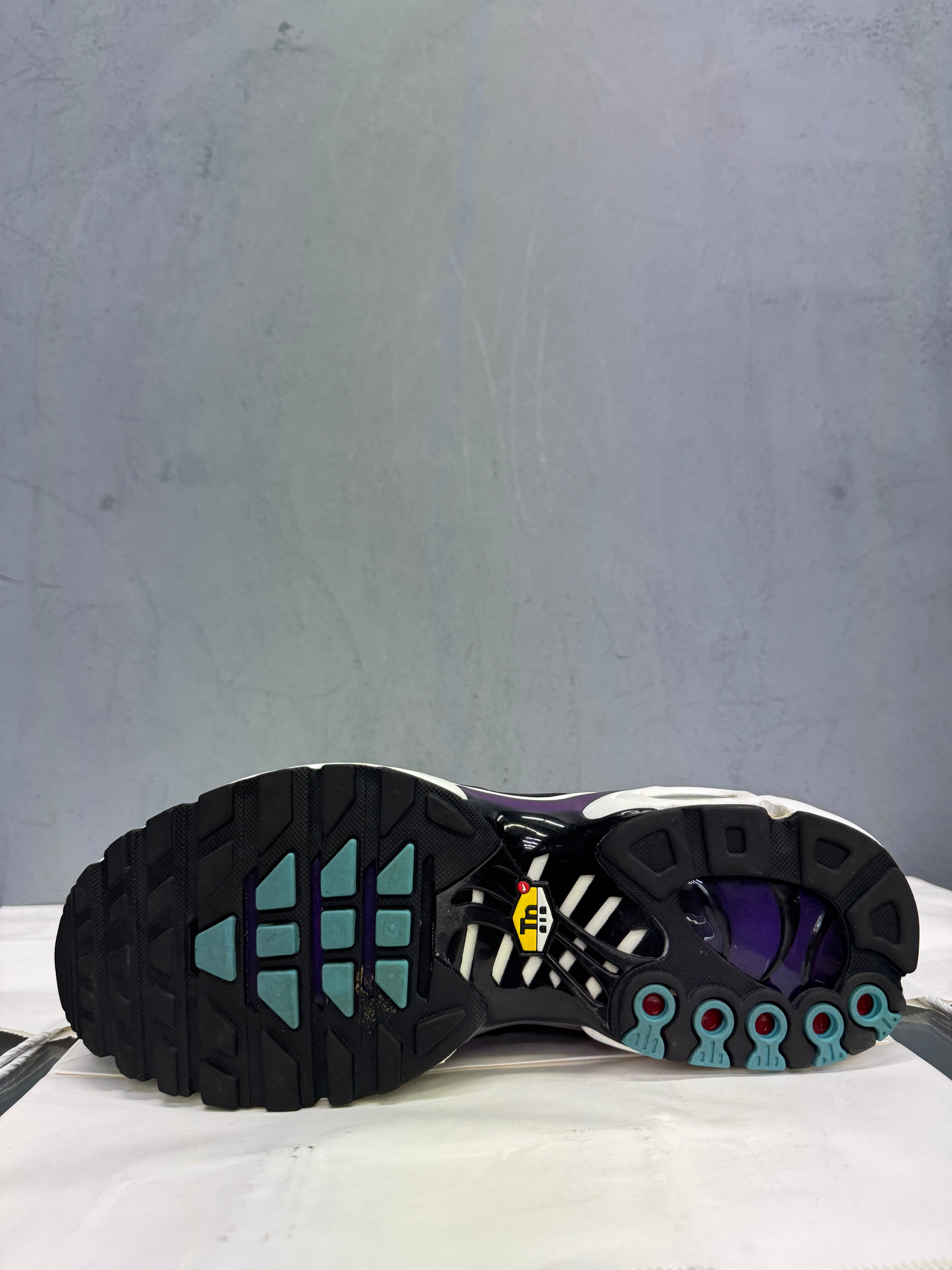 Used Nike Air Max Plus TN 'Reverse Grape'