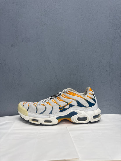 Used TN Kumquat Multiple Sizes