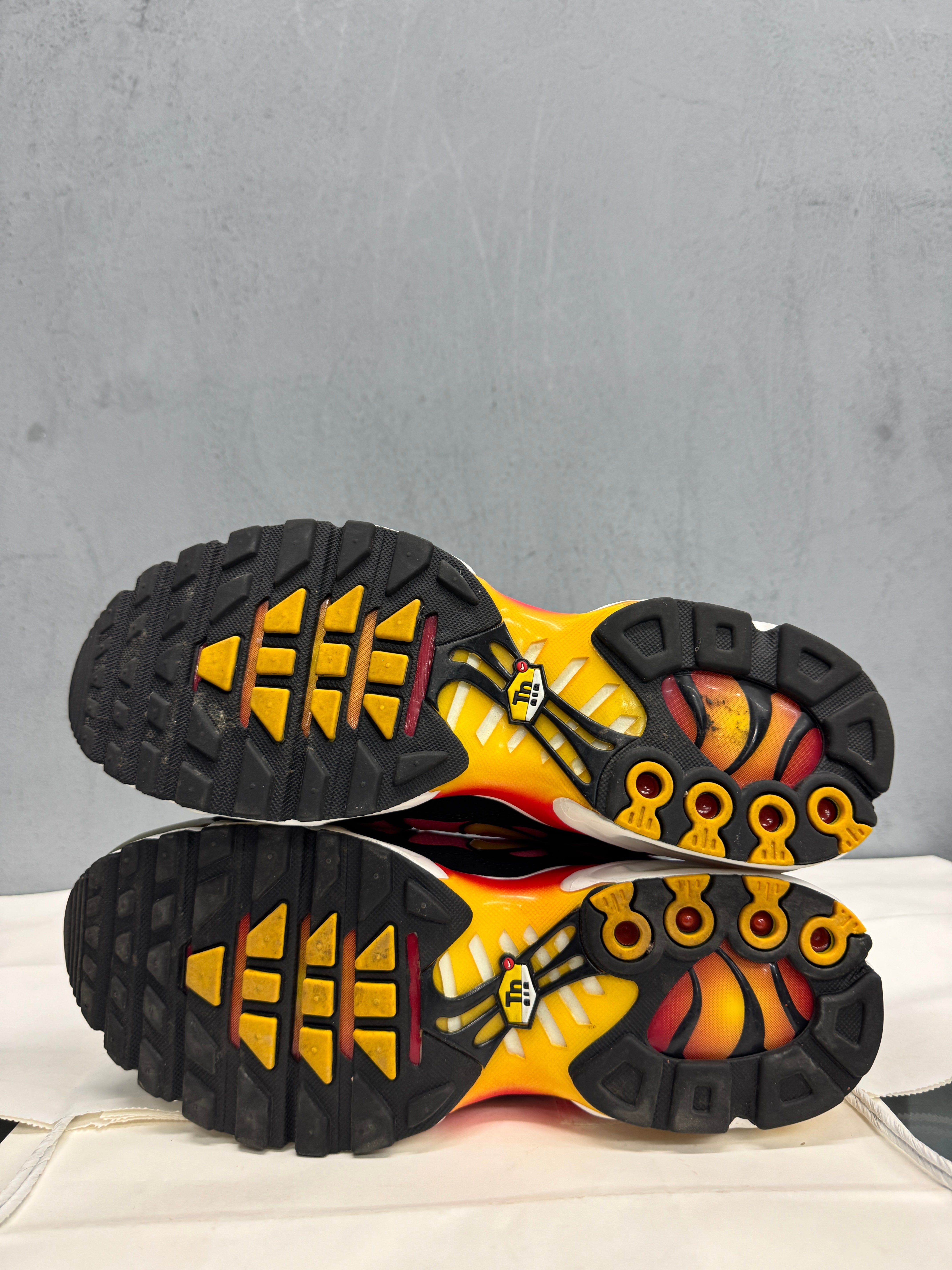 Used Nike Air Max Plus TN 'Rainbow Gradient'