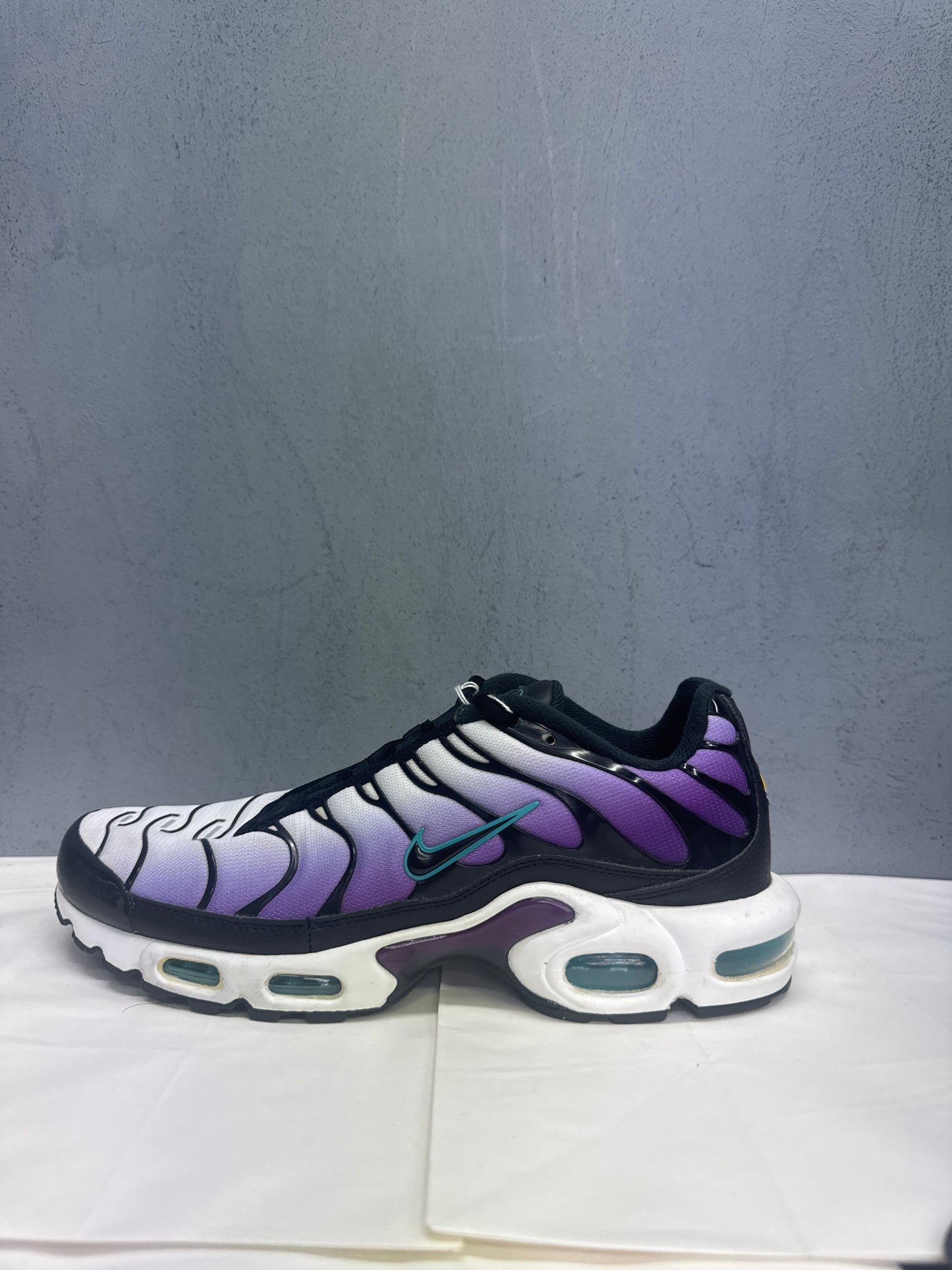 Used TN Reverse Grape Multiple Sizes