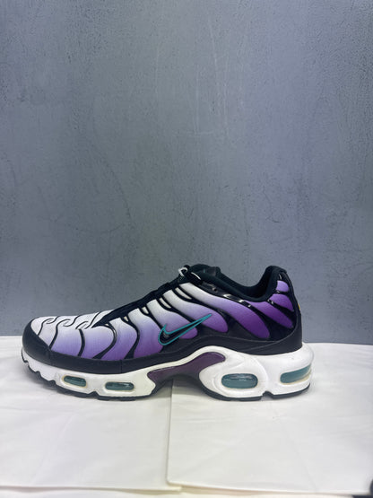 Used TN Reverse Grape Multiple Sizes