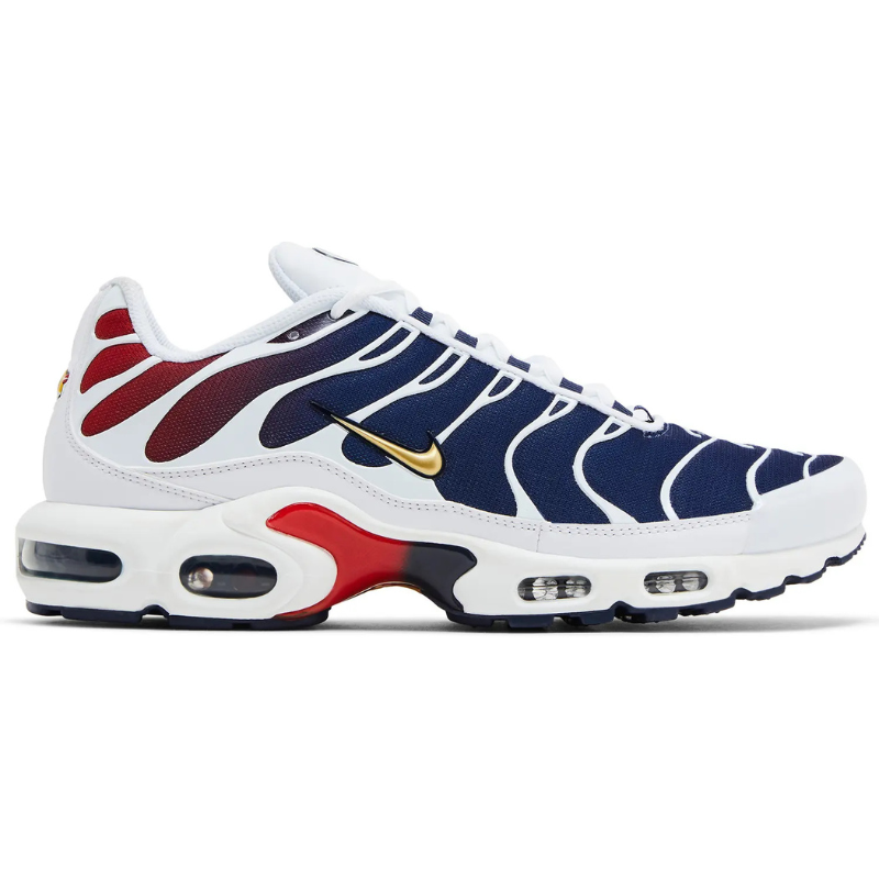 Nike Nike Air Max Plus TN 'PSG'
