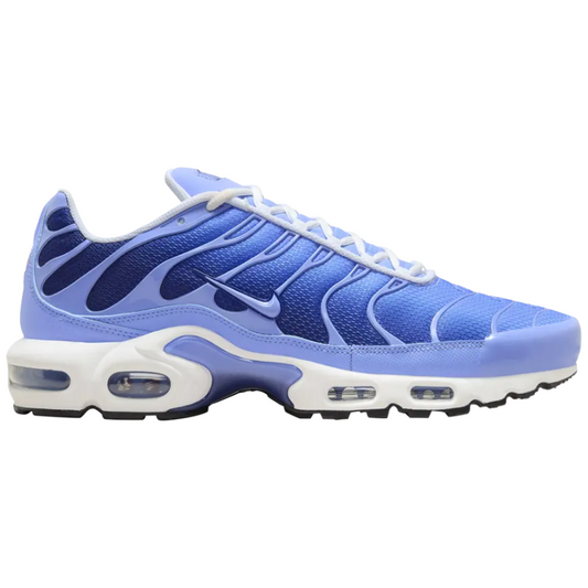 Nike TN Air Max Plus 'Royal Pulse'