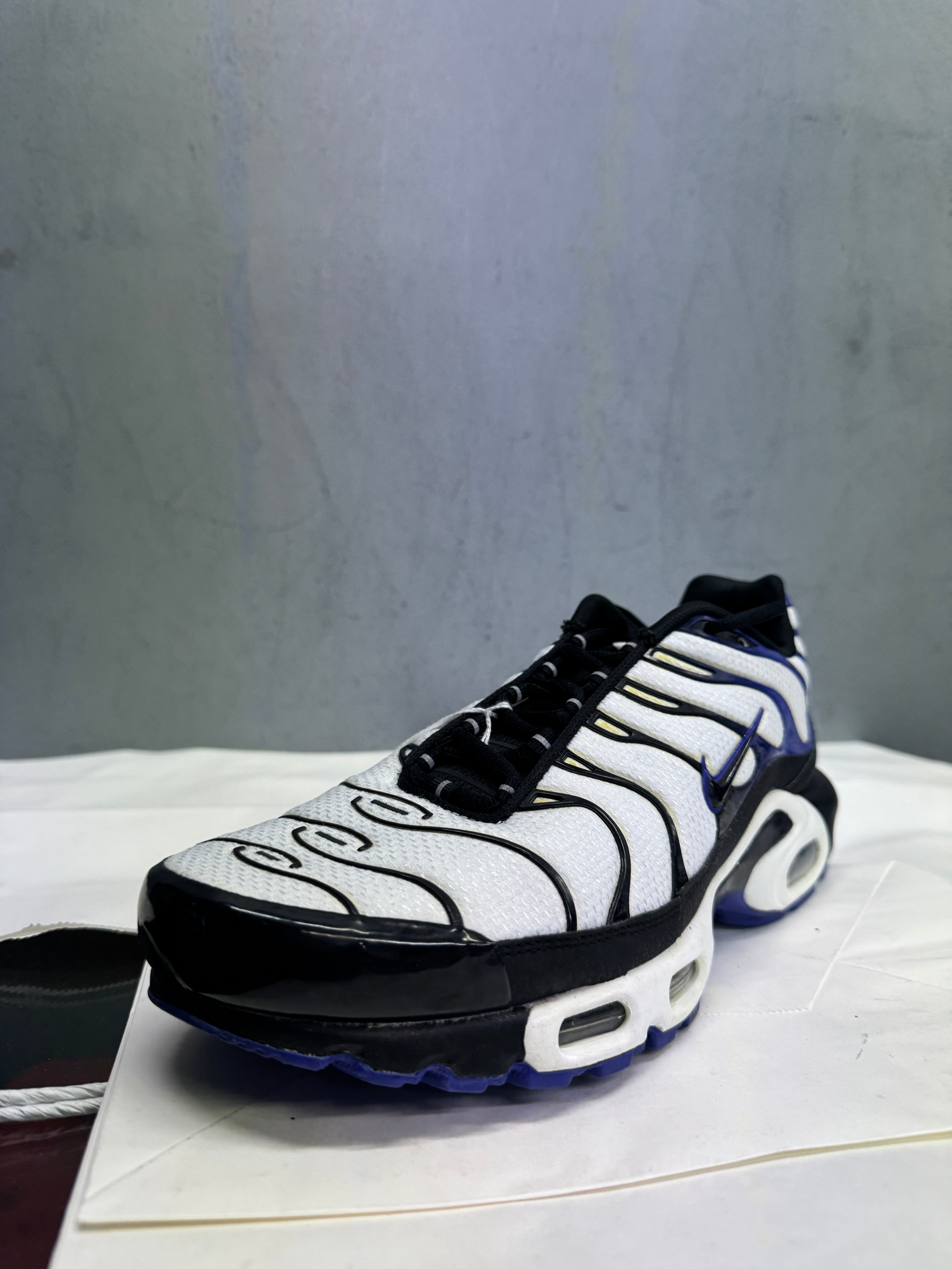 Used Nike Air Max Plus TN 'Persian Violet'