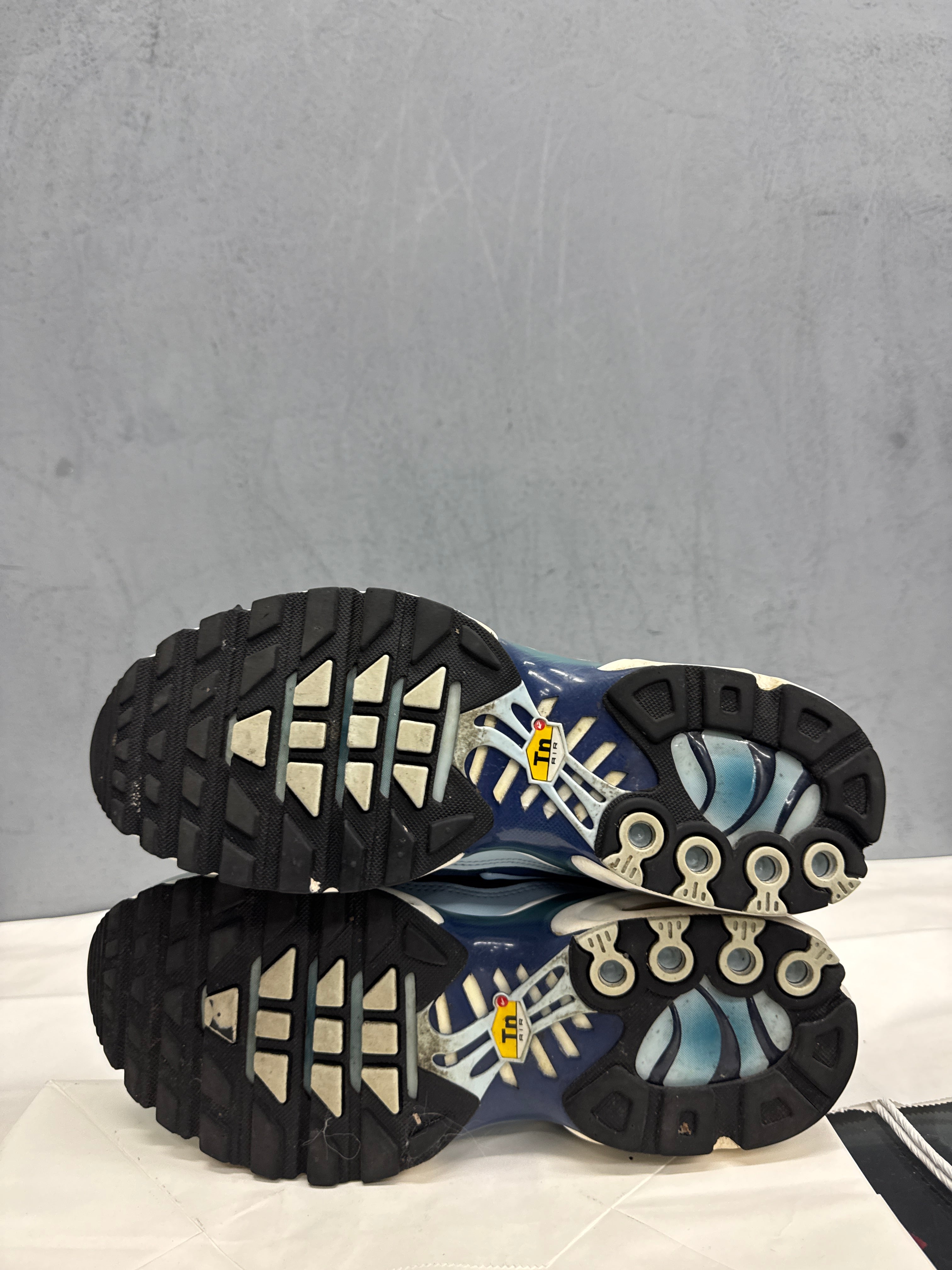 Used Nike Air Max Plus TN 'Celestine Blue'