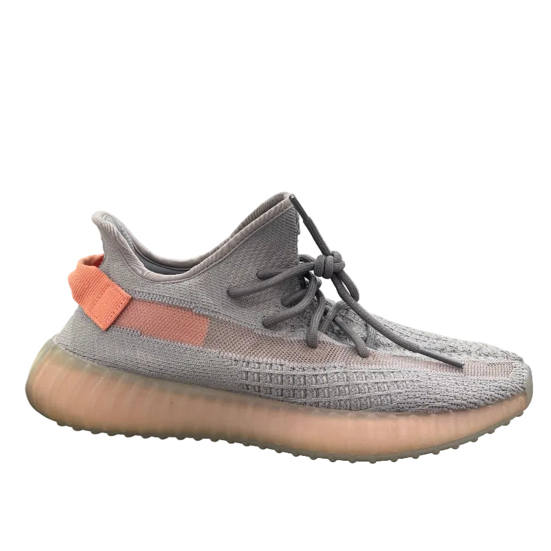 Used Yeezy 350 True Form