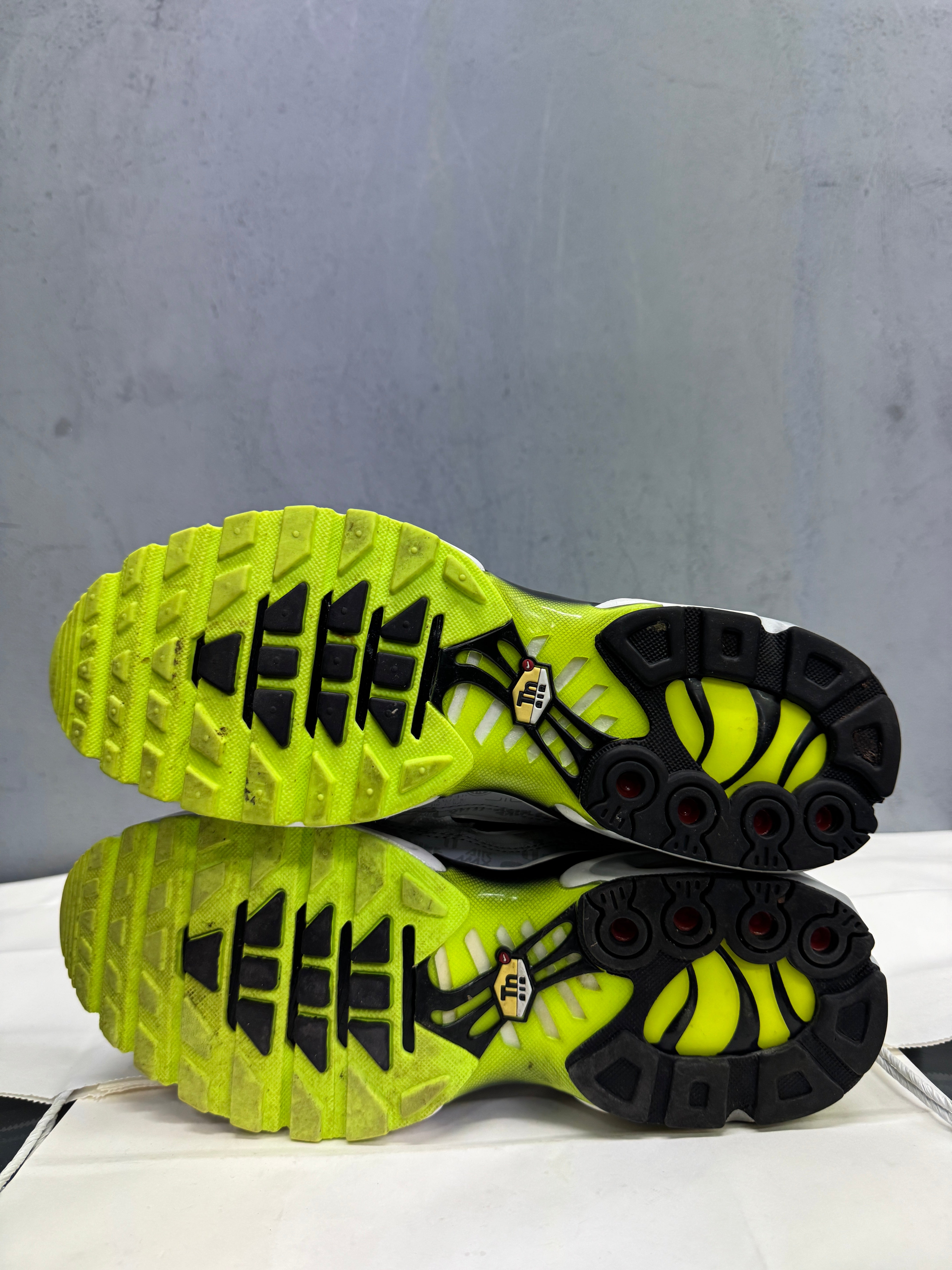 Used Nike Air Max Plus TN 'Rejuvenation'