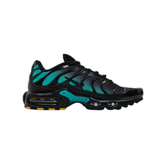 Nike Air Max Plus TN 'Black Dusty Cactus'