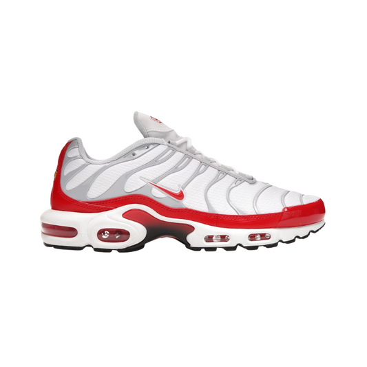 Nike Air Max Plus 'Air Max 1'