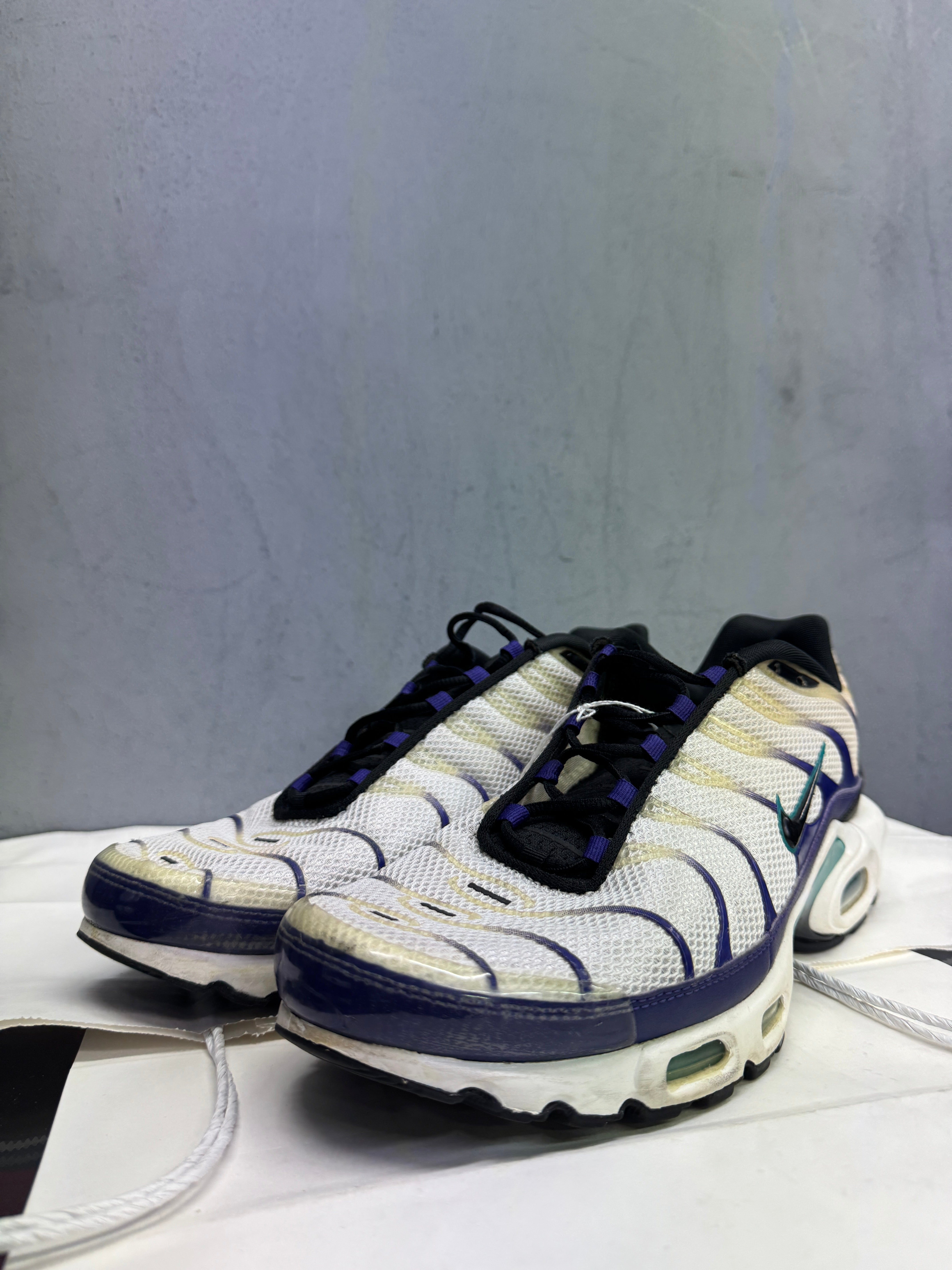 Used Nike Air Max Plus TN 'Grapes'