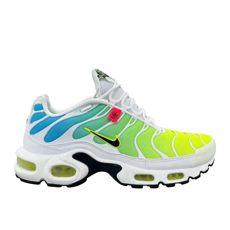 Used Nike Air Max Plus TN Worlwide