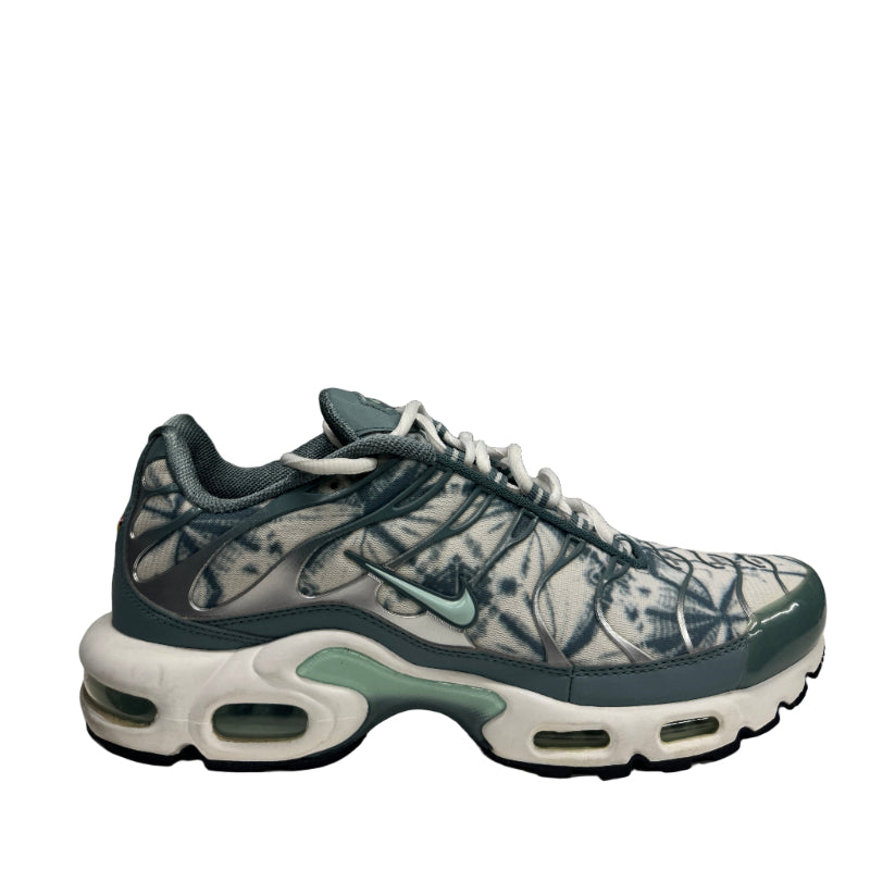 Used Nike Air Max Plus TN 'Origins Waterway'